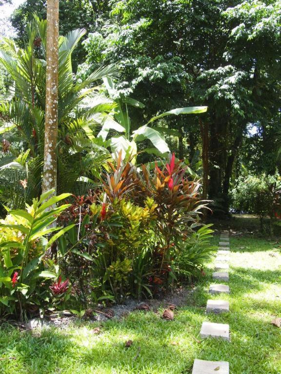 Casa Moabi Bed & Breakfast Cocles Ngoại thất bức ảnh