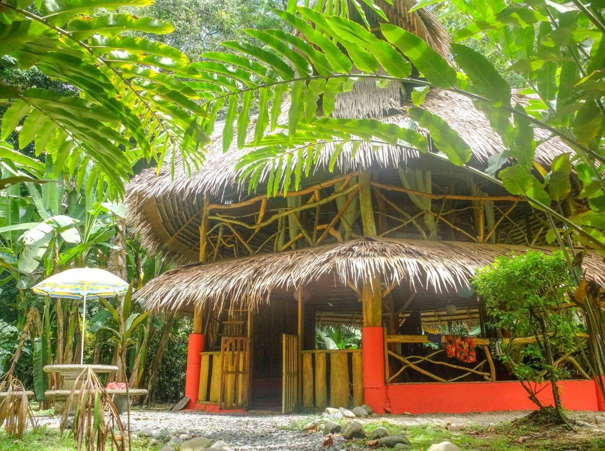Casa Moabi Bed & Breakfast Cocles Phòng bức ảnh