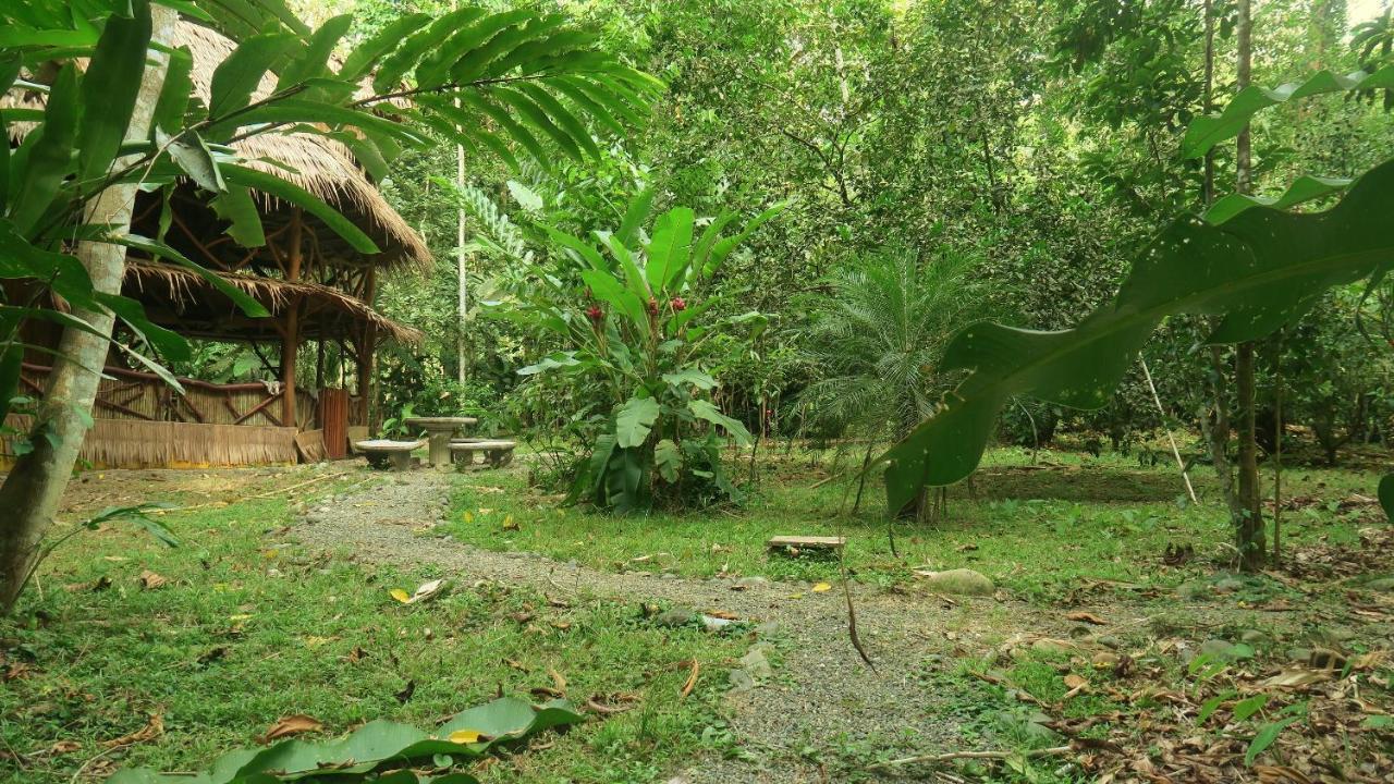 Casa Moabi Bed & Breakfast Cocles Ngoại thất bức ảnh