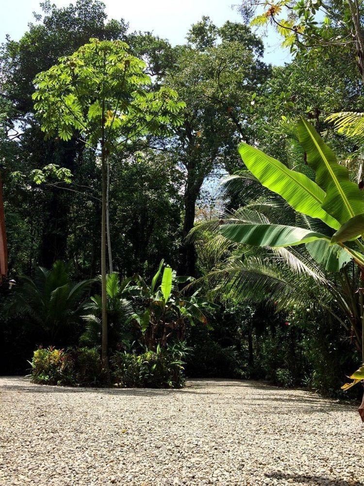 Casa Moabi Bed & Breakfast Cocles Ngoại thất bức ảnh