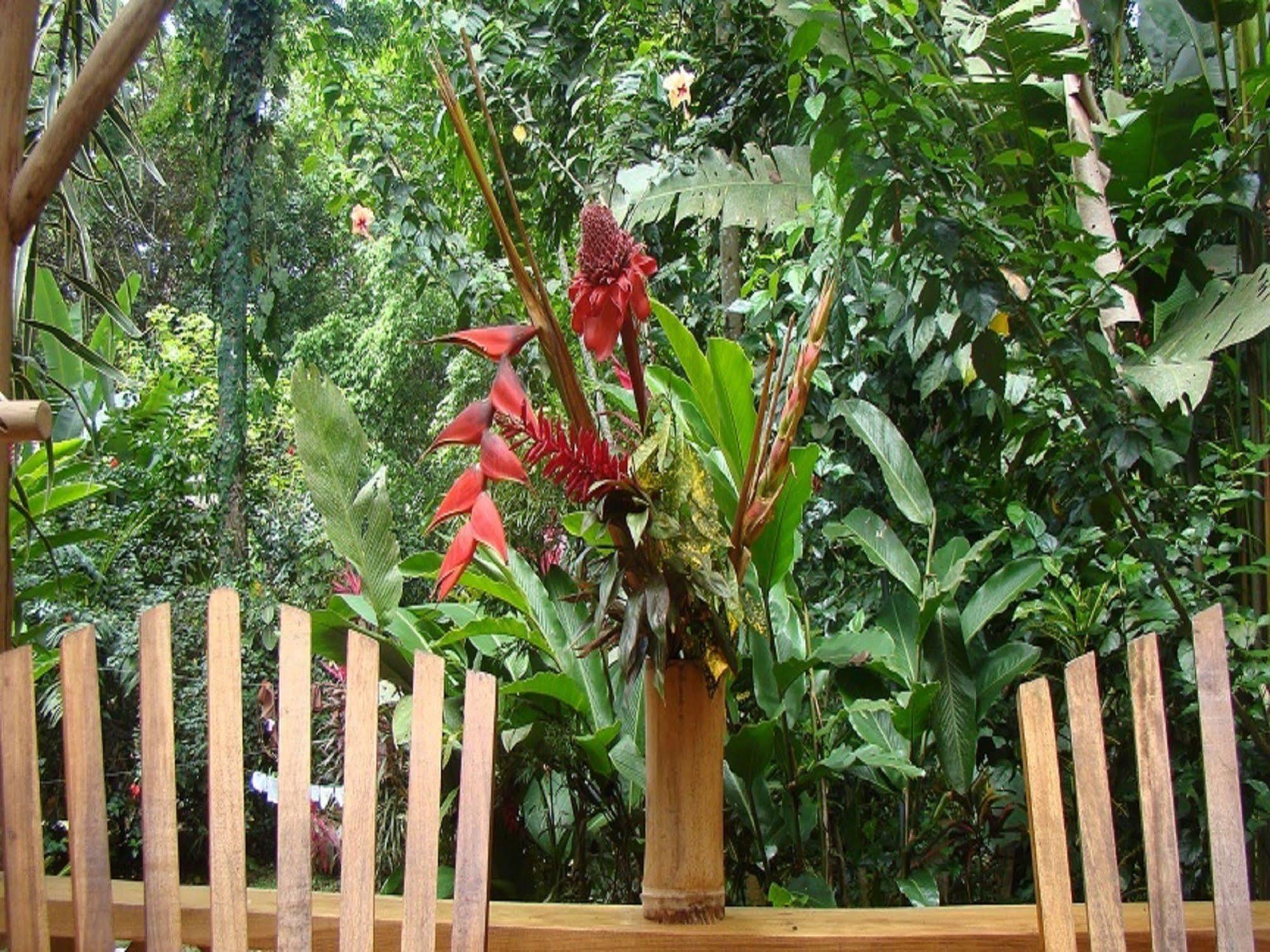 Casa Moabi Bed & Breakfast Cocles Ngoại thất bức ảnh